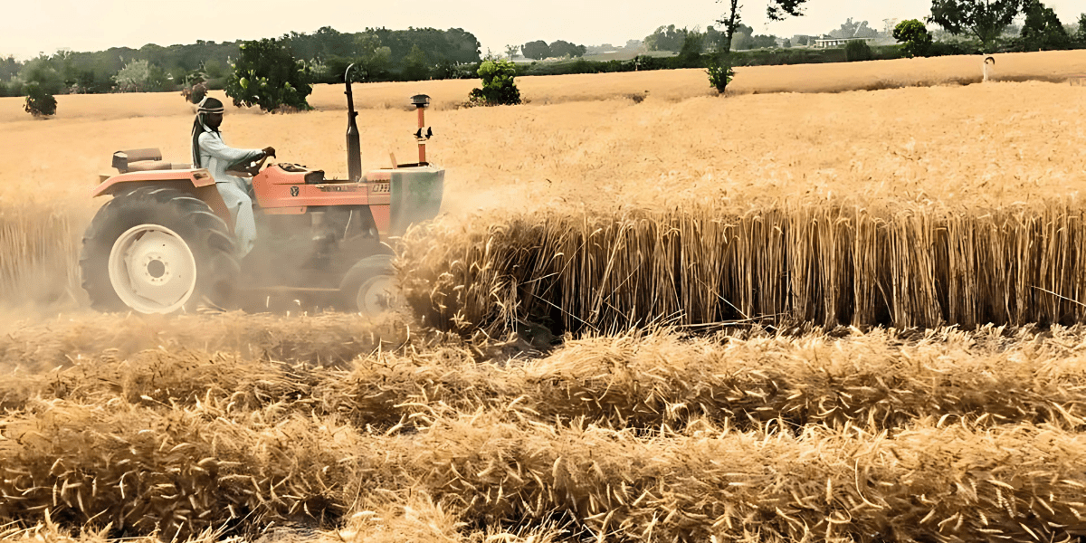 gobal_shalimar_agro_rahim_yar_khan (1)-min