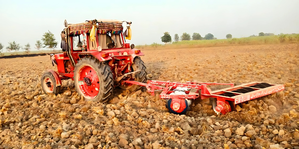 gobal_shalimar_agro_rahim_yar_khan (4)